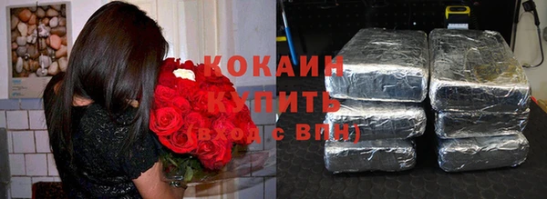 PSILOCYBIN Гвардейск