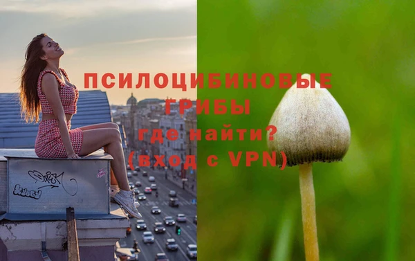 бошки Армянск