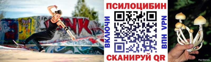 Псилоцибиновые грибы прущие грибы  даркнет официальный сайт  Валдай 